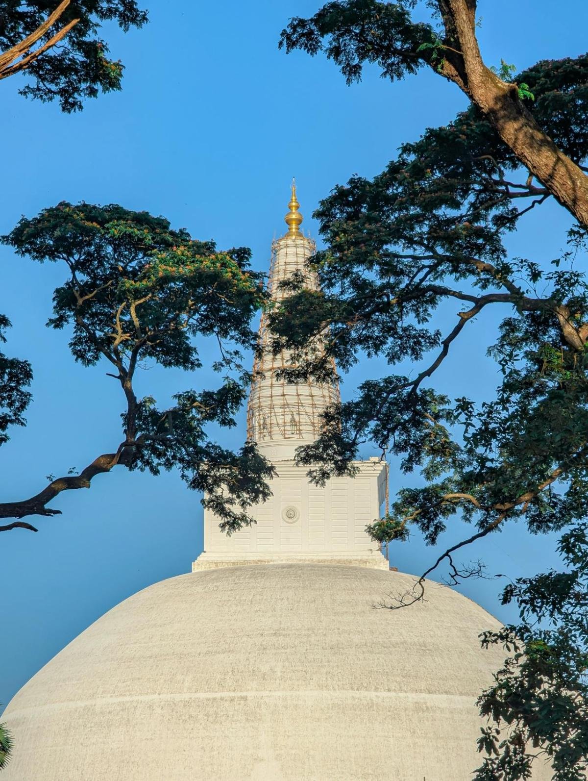 Anuradhapura: Sri Lanka's Sacred Ancient Capital - Image 4